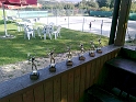 Foto0105